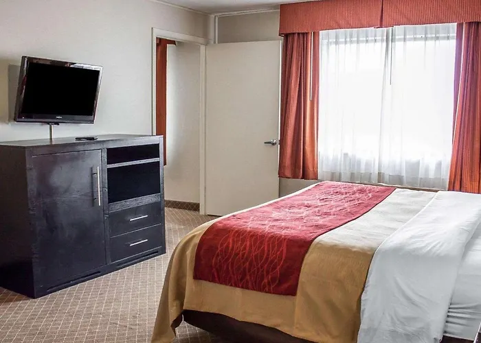 Hotel Comfort North 2*