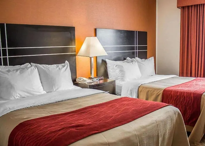 Comfort North Hotel 2*