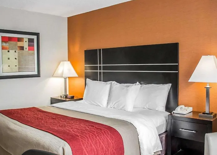 Comfort North Hotel