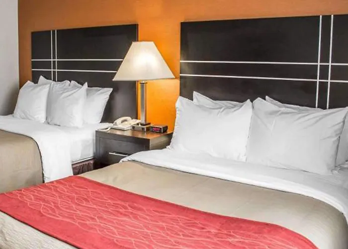 Hotel Comfort North 2*