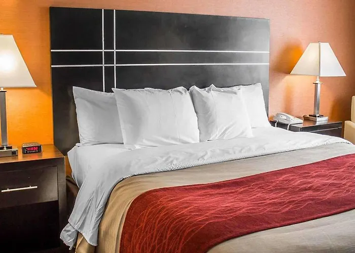 Comfort North Hotel