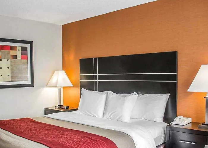 Hotel Comfort North Columbus