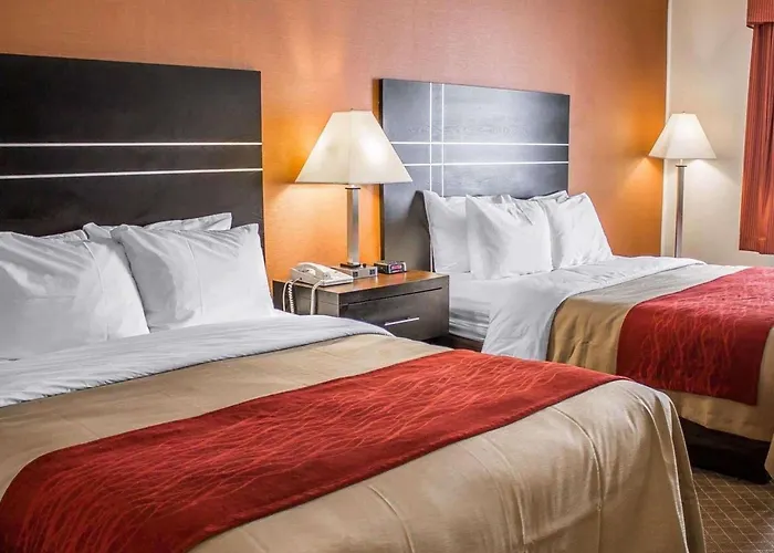 Comfort North Hotel 2*