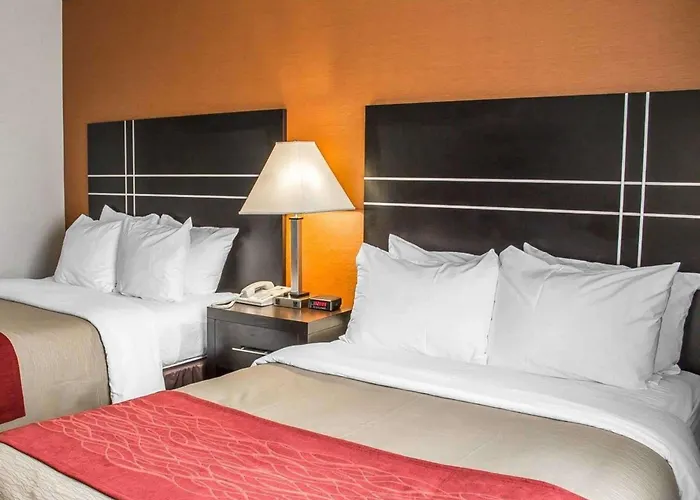 Hotel Comfort North