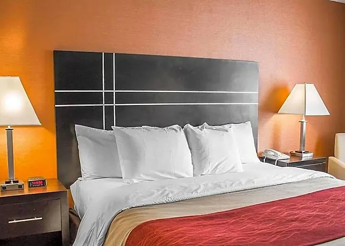 Hotel Comfort North 2*