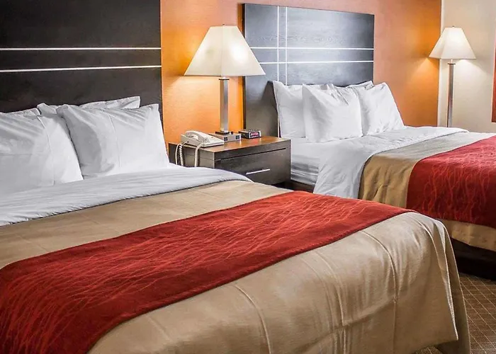 Hotel Comfort North Columbus