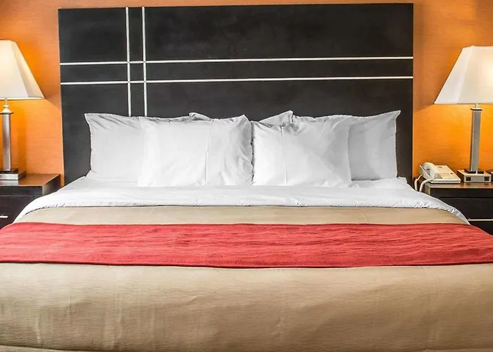 Comfort North Hotel